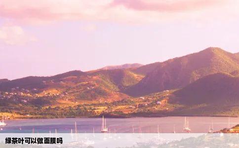 绿茶叶可以做面膜吗
