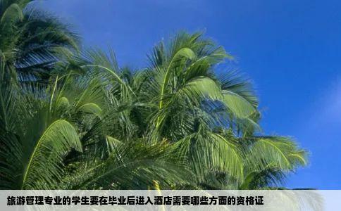 旅游管理专业的学生要在毕业后进入酒店需要哪些方面的资格证