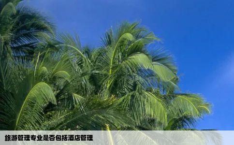 旅游管理专业是否包括酒店管理