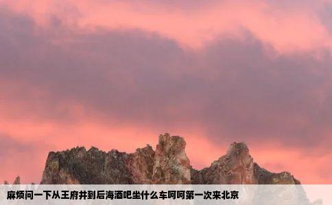 麻烦问一下从王府井到后海酒吧坐什么车呵呵第一次来北京