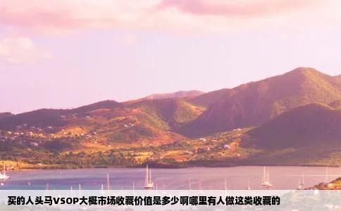 买的人头马VSOP大概市场收藏价值是多少啊哪里有人做这类收藏的
