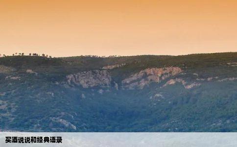 买酒说说和经典语录