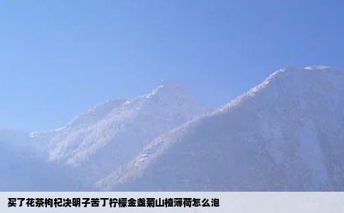 买了花茶枸杞决明子苦丁柠檬金盏菊山楂薄荷怎么泡