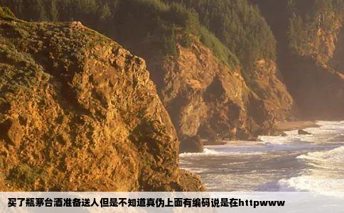 买了瓶茅台酒准备送人但是不知道真伪上面有编码说是在httpwww