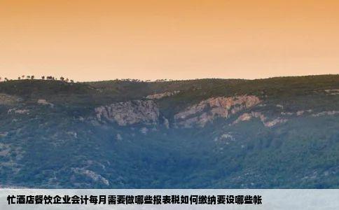 忙酒店餐饮企业会计每月需要做哪些报表税如何缴纳要设哪些帐