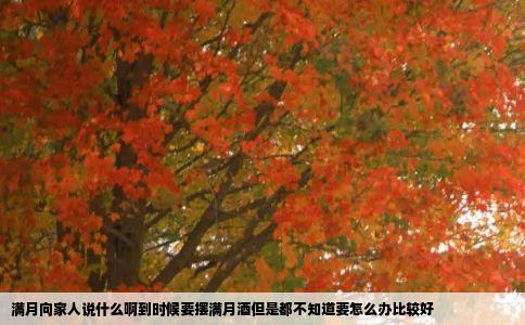 满月向家人说什么啊到时候要摆满月酒但是都不知道要怎么办比较好