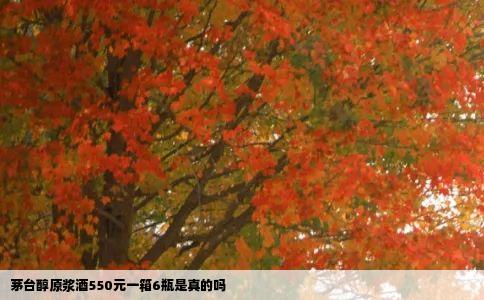 茅台醇原浆酒550元一箱6瓶是真的吗