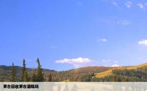 茅台回收茅台酒瓶吗
