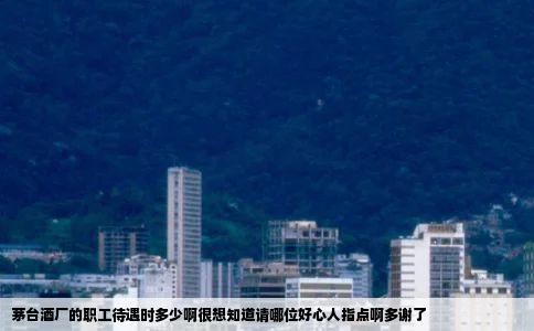 茅台酒厂的职工待遇时多少啊很想知道请哪位好心人指点啊多谢了