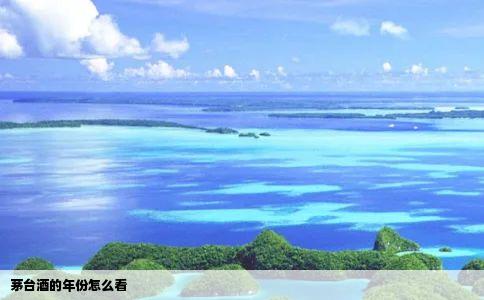 茅台酒的年份怎么看