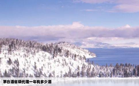 茅台酒省级代理一年有多少酒