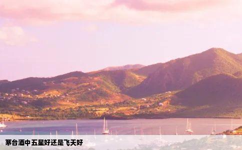 茅台酒中五星好还是飞天好