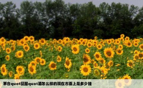 茅台quot征服quot酒怎么样的现在市面上是多少钱