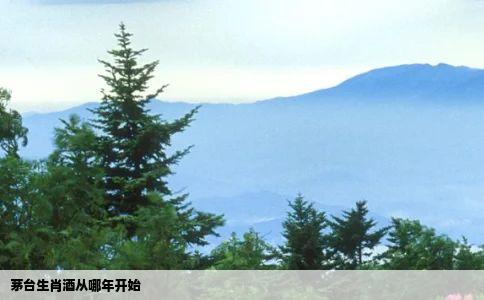 茅台生肖酒从哪年开始