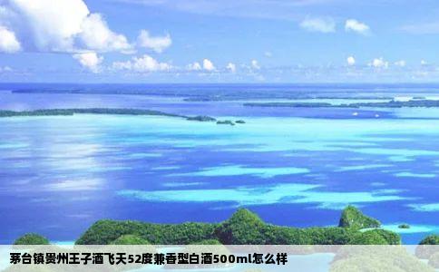 茅台镇贵州王子酒飞天52度兼香型白酒500ml怎么样