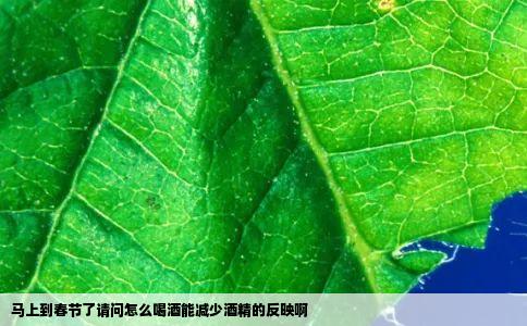 马上到春节了请问怎么喝酒能减少酒精的反映啊