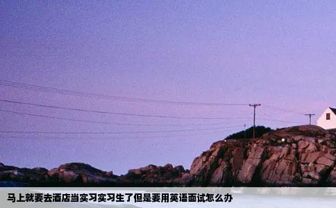 马上就要去酒店当实习实习生了但是要用英语面试怎么办