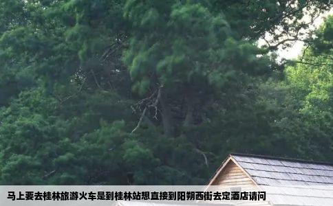 马上要去桂林旅游火车是到桂林站想直接到阳朔西街去定酒店请问
