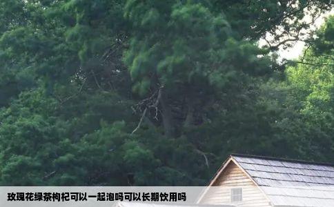 玫瑰花绿茶枸杞可以一起泡吗可以长期饮用吗