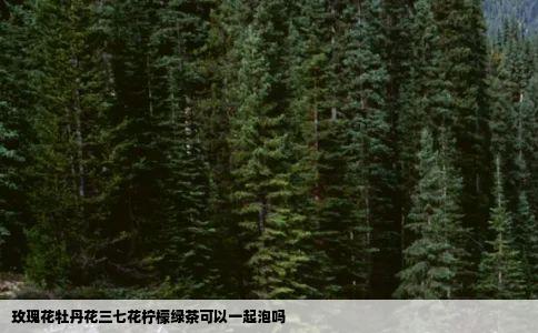 玫瑰花牡丹花三七花柠檬绿茶可以一起泡吗