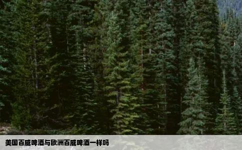美国百威啤酒与欧洲百威啤酒一样吗