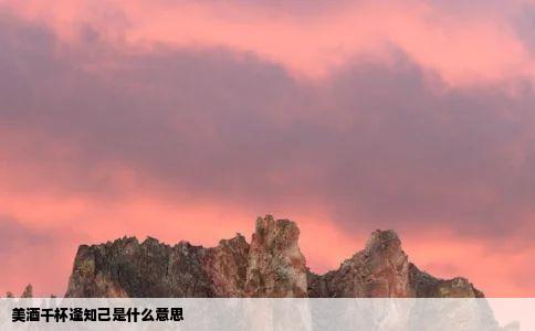 美酒千杯逢知己是什么意思