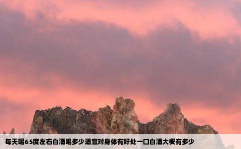 每天喝65度左右白酒喝多少适宜对身体有好处一口白酒大概有多少