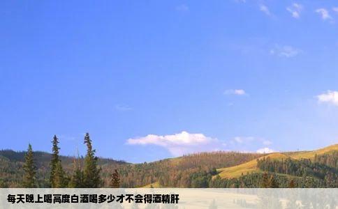 每天晚上喝高度白酒喝多少才不会得酒精肝