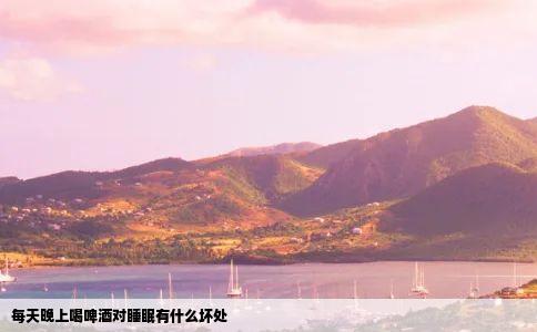 每天晚上喝啤酒对睡眠有什么坏处