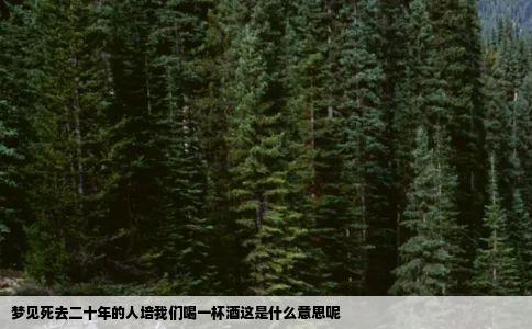 梦见死去二十年的人培我们喝一杯酒这是什么意思呢