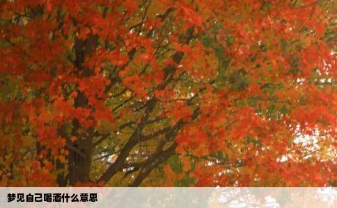 梦见自己喝酒什么意思