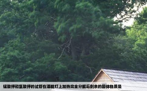 锰酸钾和氯酸钾的试管在酒精灯上加热完全分解后剩余的固体物质是