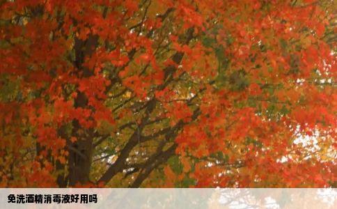 免洗酒精消毒液好用吗