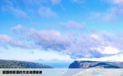 猕猴桃酿酒的方法请授谢谢