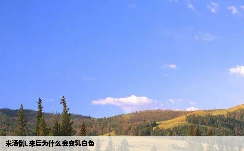 米酒倒岀来后为什么会变乳白色