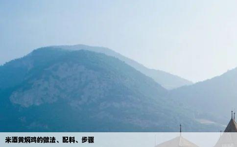 米酒黄焖鸡的做法配料步骤