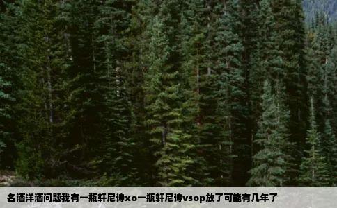 名酒洋酒问题我有一瓶轩尼诗xo一瓶轩尼诗vsop放了可能有几年了