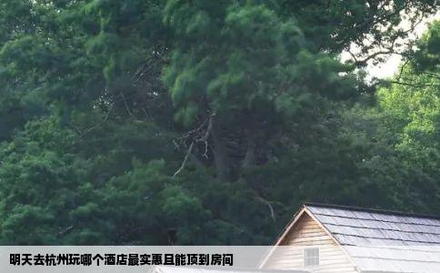 明天去杭州玩哪个酒店最实惠且能顶到房间