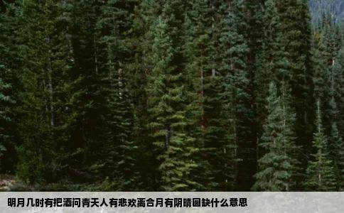 明月几时有把酒问青天人有悲欢离合月有阴晴圆缺什么意思