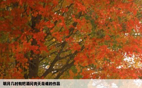 明月几时有把酒问青天是谁的作品