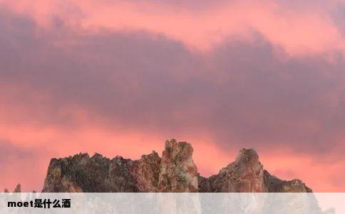 moet是什么酒