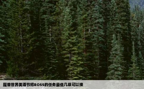 魔兽世界美酒节招BOSS的任务最低几级可以接