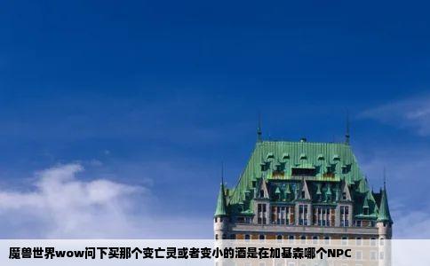 魔兽世界wow问下买那个变亡灵或者变小的酒是在加基森哪个NPC