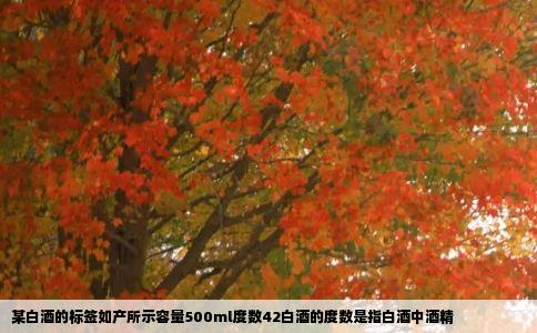 某白酒的标签如产所示容量500ml度数42白酒的度数是指白酒中酒精