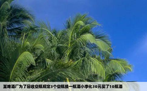 某啤酒厂为了回收空瓶规定3个空瓶换一瓶酒小李化30元买了10瓶酒