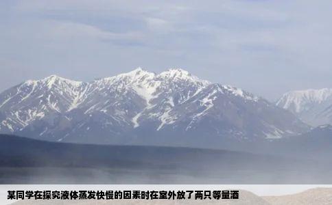 某同学在探究液体蒸发快慢的因素时在室外放了两只等量酒