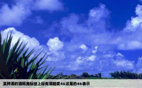 某种酒的酒瓶商标纸上标有酒精度46这里的46表示