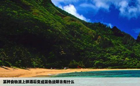 某种食物滴上碘酒后变成蓝色说明含有什么