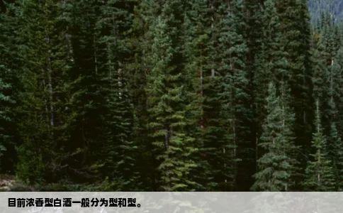 目前浓香型白酒一般分为型和型。