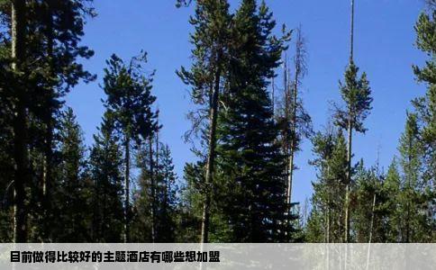 目前做得比较好的主题酒店有哪些想加盟